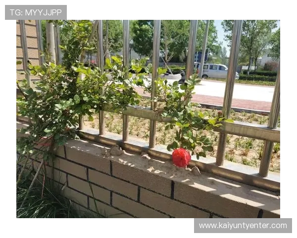 开云金年会app登录界面操作指南帮助新用户快速上手